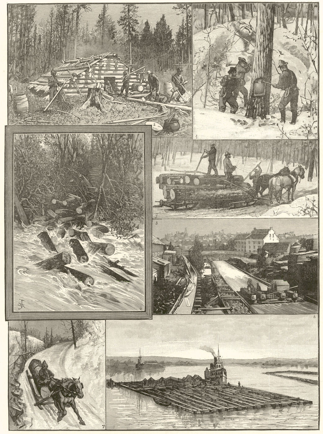 Lumbering Canada Felling Timber Lumberjack Timber Ottawa raft St Lawrence 1886